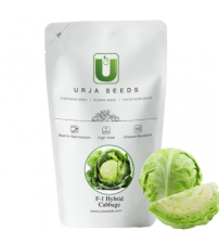 Cabbage / Patta Gobi Hybrid Urja Bharat 10 grams